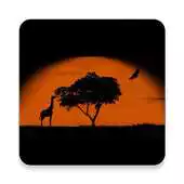 Free play online Africa Proverbs and Sayings APK Free play online Africa Proverbs and Sayings APK