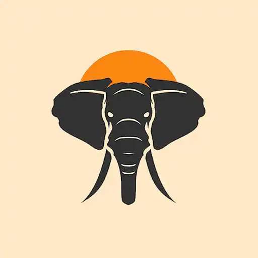 Play Afrifeel - Experience Africa APK Play Afrifeel - Experience Africa APK
