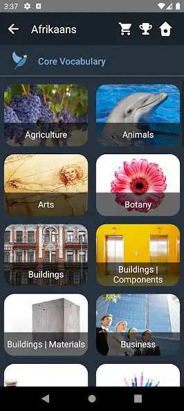 Play Afrikaans Language Tests as an online game Afrikaans Language Tests with UptoPlay