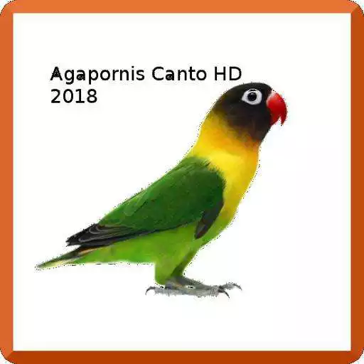 Play Agapornis Canto APK