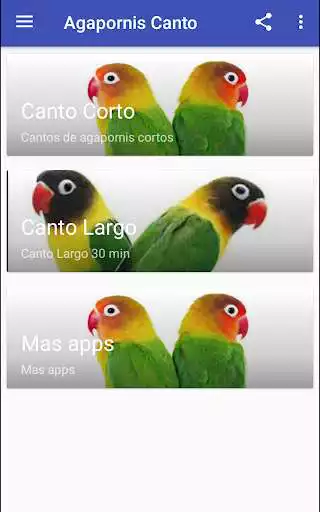 Play Agapornis Canto  and enjoy Agapornis Canto with UptoPlay
