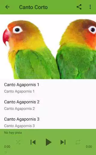 Play Agapornis Canto as an online game Agapornis Canto with UptoPlay
