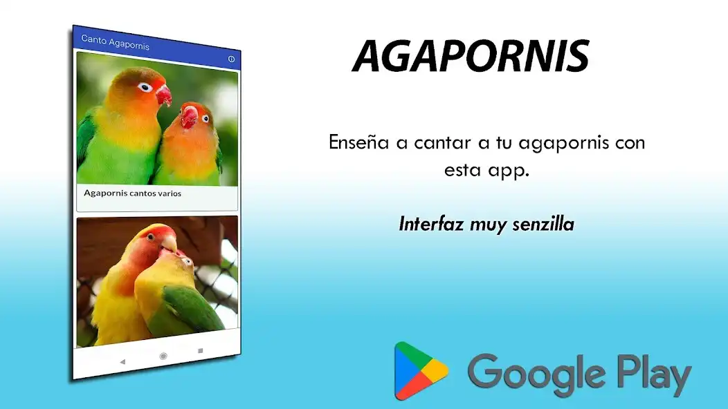 Play Agapornis V2 as an online game online Agapornis V2 with UptoPlay Play Agapornis V2 as an online game Agapornis V2 with UptoPlay