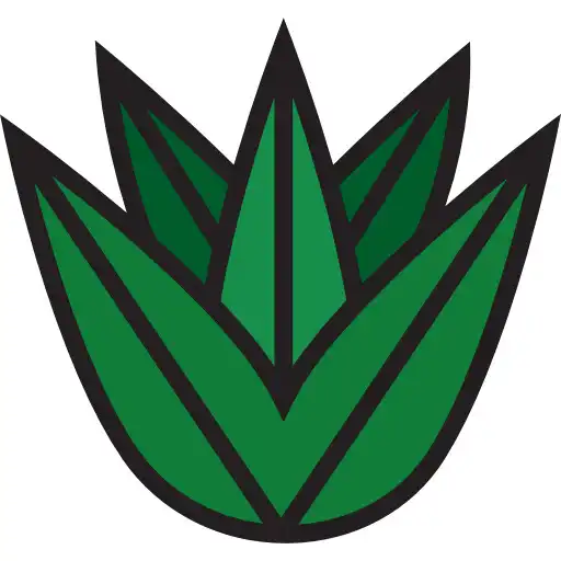 Play Agave WorldWide APK Play Agave WorldWide APK