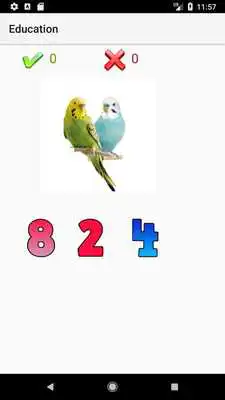 Play Age 3 mental educational intelligence child play