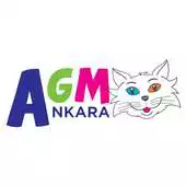 Free play online AGM Ankara APK