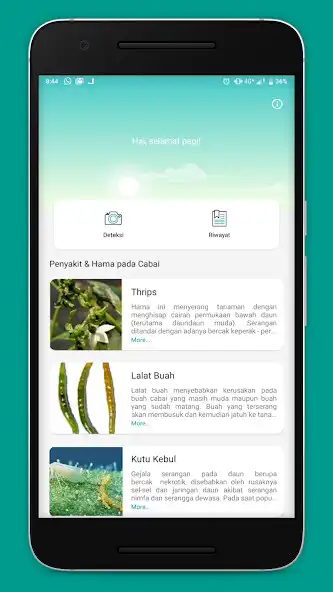 Play Agrai  and enjoy Agrai with UptoPlay