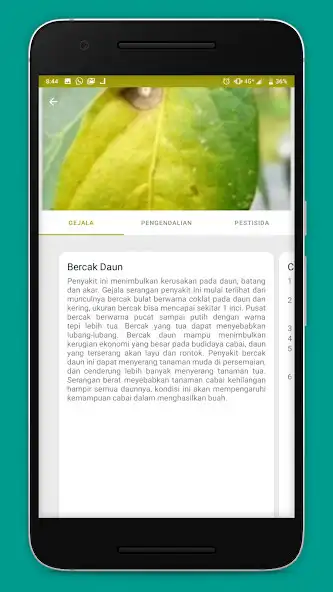 Play Agrai as an online game Agrai with UptoPlay