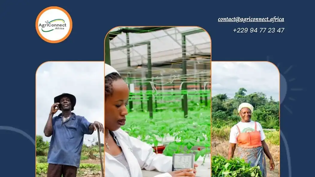 Play AgriConnect Africa  and enjoy AgriConnect Africa with UptoPlay