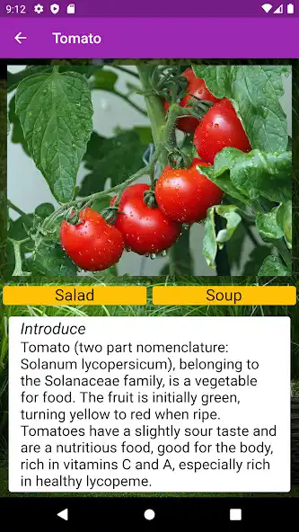 Play Agricultural King as an online game Agricultural King with UptoPlay