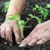 Free play online Agriculture HD Wallpapers APK