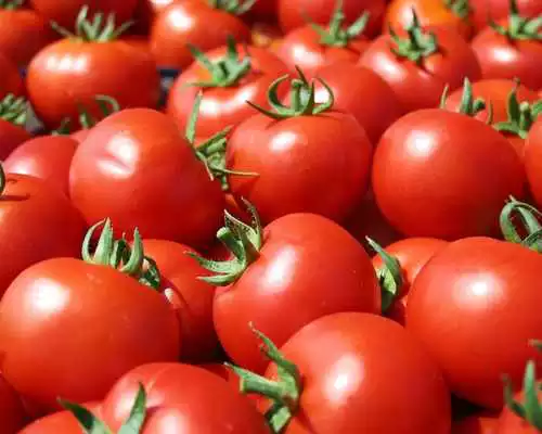 Play Agriculture HD Wallpapers