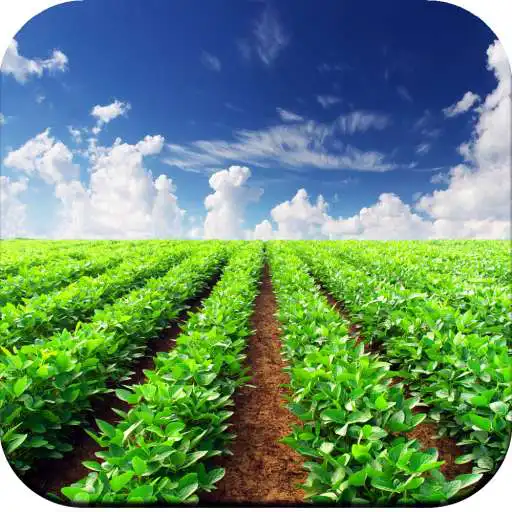Play Agriculture Wallpaper HD APK Play Agriculture Wallpaper HD APK
