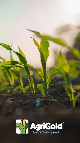 Play AgriGold Events  and enjoy AgriGold Events with UptoPlay
