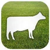 Free play online Agrocontactos Ganado APK
