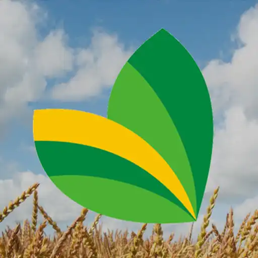 Play Agroinsumos ByL S.A. APK