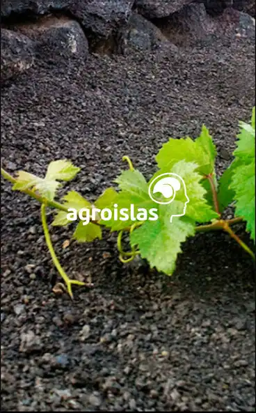 Play Agroislas 3.0  and enjoy Agroislas 3.0 with UptoPlay