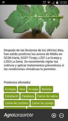 Play Agrolanzarote Play Agrolanzarote