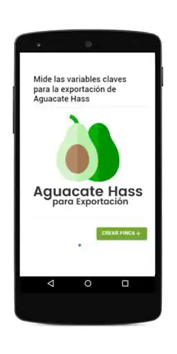 Play Agronielsen Aguacate Hass  and enjoy Agronielsen Aguacate Hass with UptoPlay