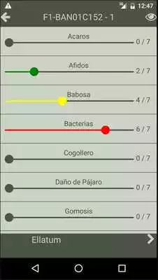 Play AgroPatterns as an online game AgroPatterns with UptoPlay