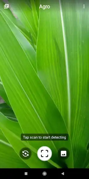 Play Agro  and enjoy Agro with UptoPlay