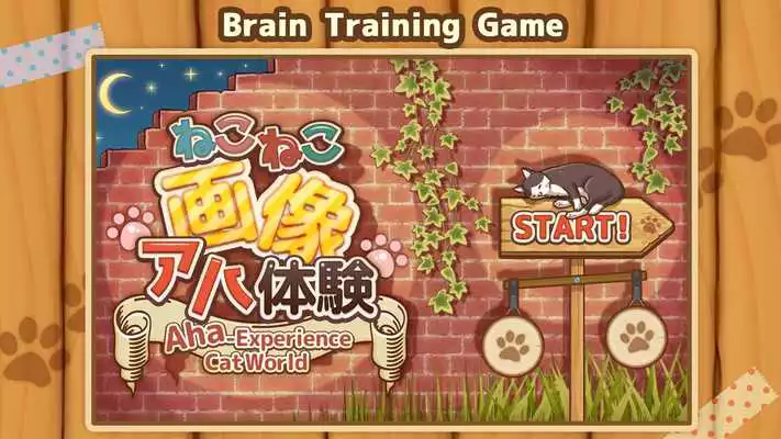 Play Aha-Experience Cat World - Whats changed?