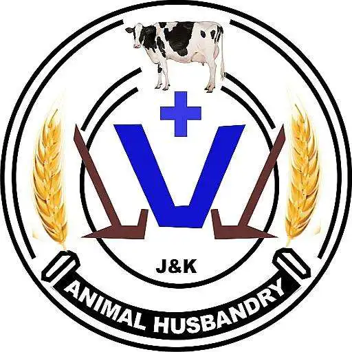 Play AHD Digital Extension APK