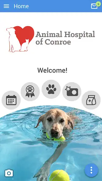 Play AHOC Pets  and enjoy AHOC Pets with UptoPlay