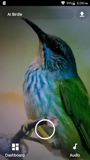 Play AI-Birdie and enjoy AI-Birdie with UptoPlay Play AI-Birdie and enjoy AI-Birdie with UptoPlay