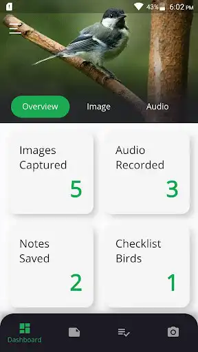 Play AI-Birdie as an online game online AI-Birdie with UptoPlay dev.jaysonani.aibirdie Play AI-Birdie as an online game AI-Birdie with UptoPlay