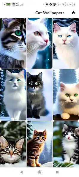 Play AI Cats Wallpapers  and enjoy AI Cats Wallpapers with UptoPlay