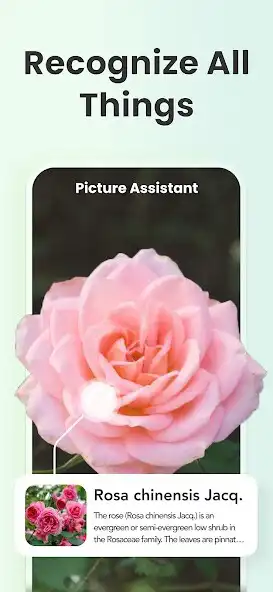 Play AI Chatbot - Ask AI Anything as an online game AI Chatbot - Ask AI Anything with UptoPlay