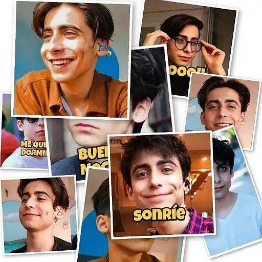 Play AIDAN GALLAGHER STICKERS PARA WHATSAPP 2021 APK