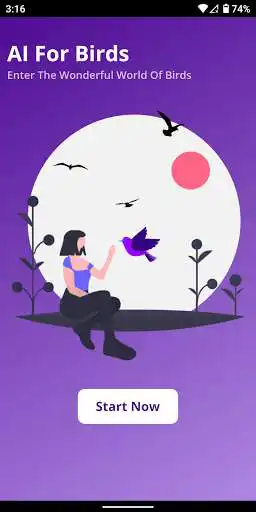 Play AI For Birds  and enjoy AI For Birds with UptoPlay