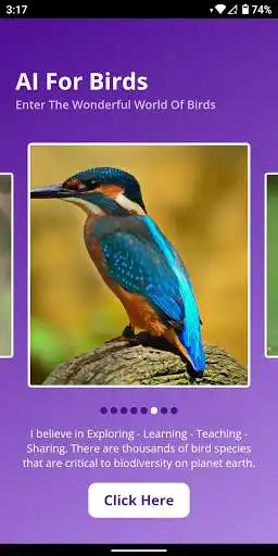 Play AI For Birds as an online game AI For Birds with UptoPlay