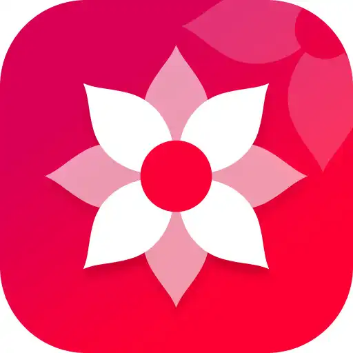 Play Ai Gallery - Photo Album APK Play Ai Gallery - Photo Album APK