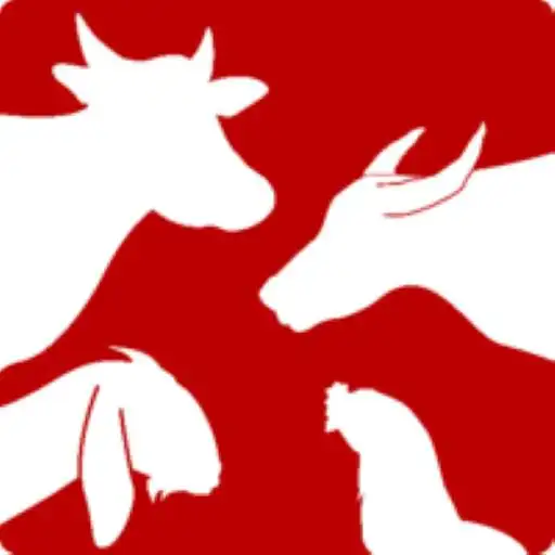 Play AIM iSIKHNAS APK