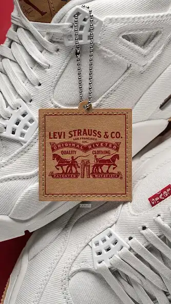 Play Air Jordan V  and enjoy Air Jordan V with UptoPlay