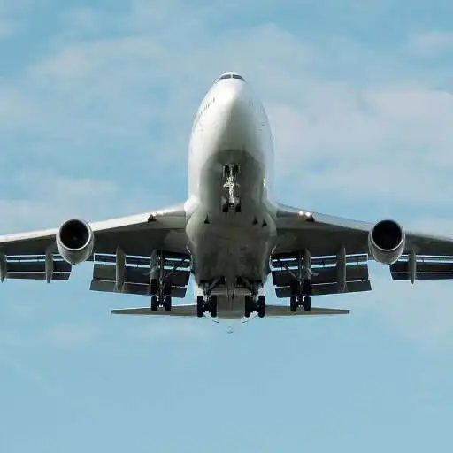 Play Airlines APK