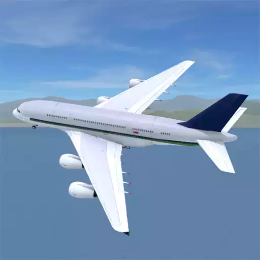 Play Airport Madness 3D APK