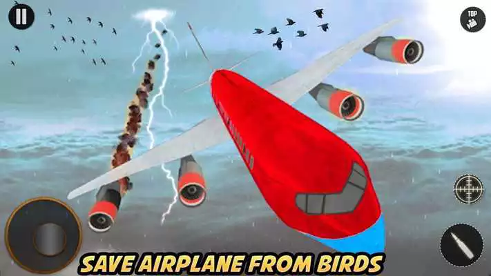 Play Airport Sniper Birds Hunting