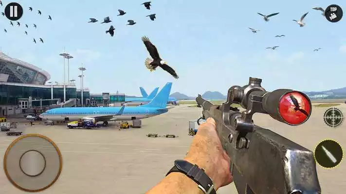 Play Airport Sniper Birds Hunting