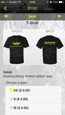 Play Airstraordinary