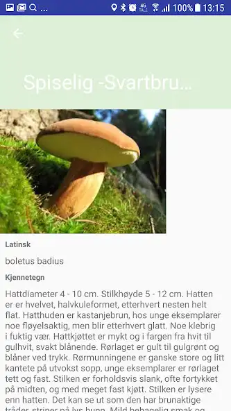 Play AiSopp - Inteligent Soppidentifisering as an online game AiSopp - Inteligent Soppidentifisering with UptoPlay