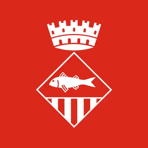 Play Ajuntament Mollet del Vallès APK