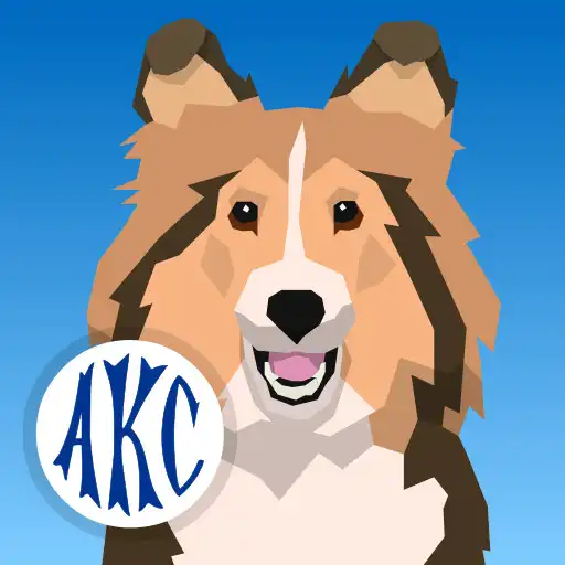 Play AKC Math Agility APK