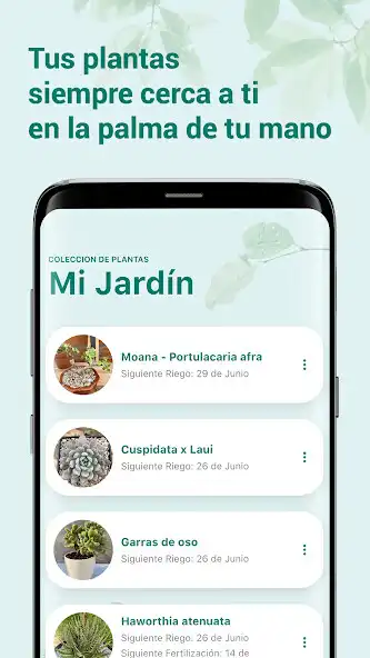 Play Akiras Garden  and enjoy Akiras Garden with UptoPlay