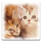 Free play online A kitten APK Free play online A kitten APK