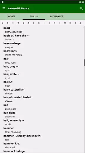 Play Akoose Dictionary as an online game Akoose Dictionary with UptoPlay