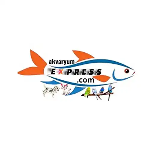 Play Akvaryum Express APK